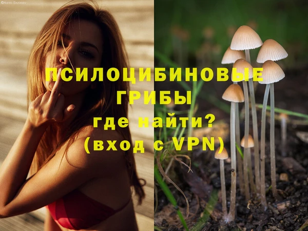 ГАЛЛЮЦИНОГЕННЫЕ ГРИБЫ Кукмор