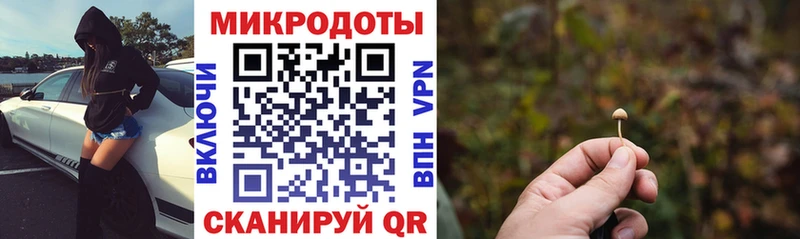 Галлюциногенные грибы Psilocybine cubensis  кракен   Поворино 
